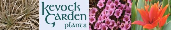 Kevock Garden
