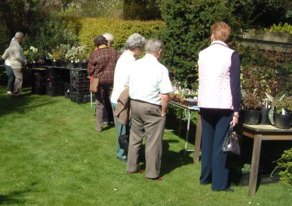 plantsale.jpg