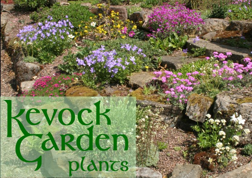 rockery-kgp.jpg